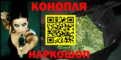 индика Владимир