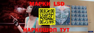 индика Владимир