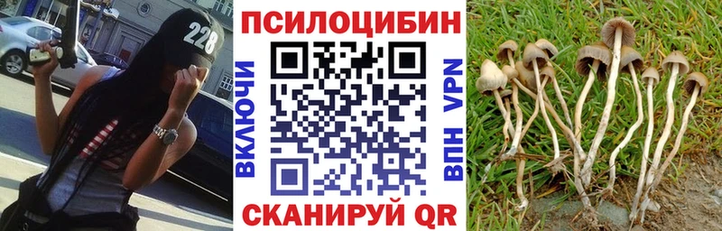 Псилоцибиновые грибы мицелий  Белово 