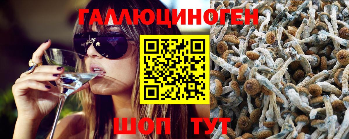 Псилоцибиновые грибы GOLDEN TEACHER Белово