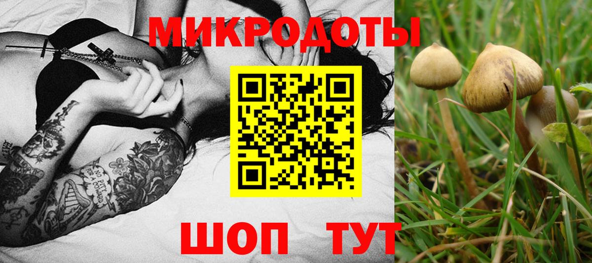 Псилоцибиновые грибы прущие грибы  Вход с VPN  Белово 
